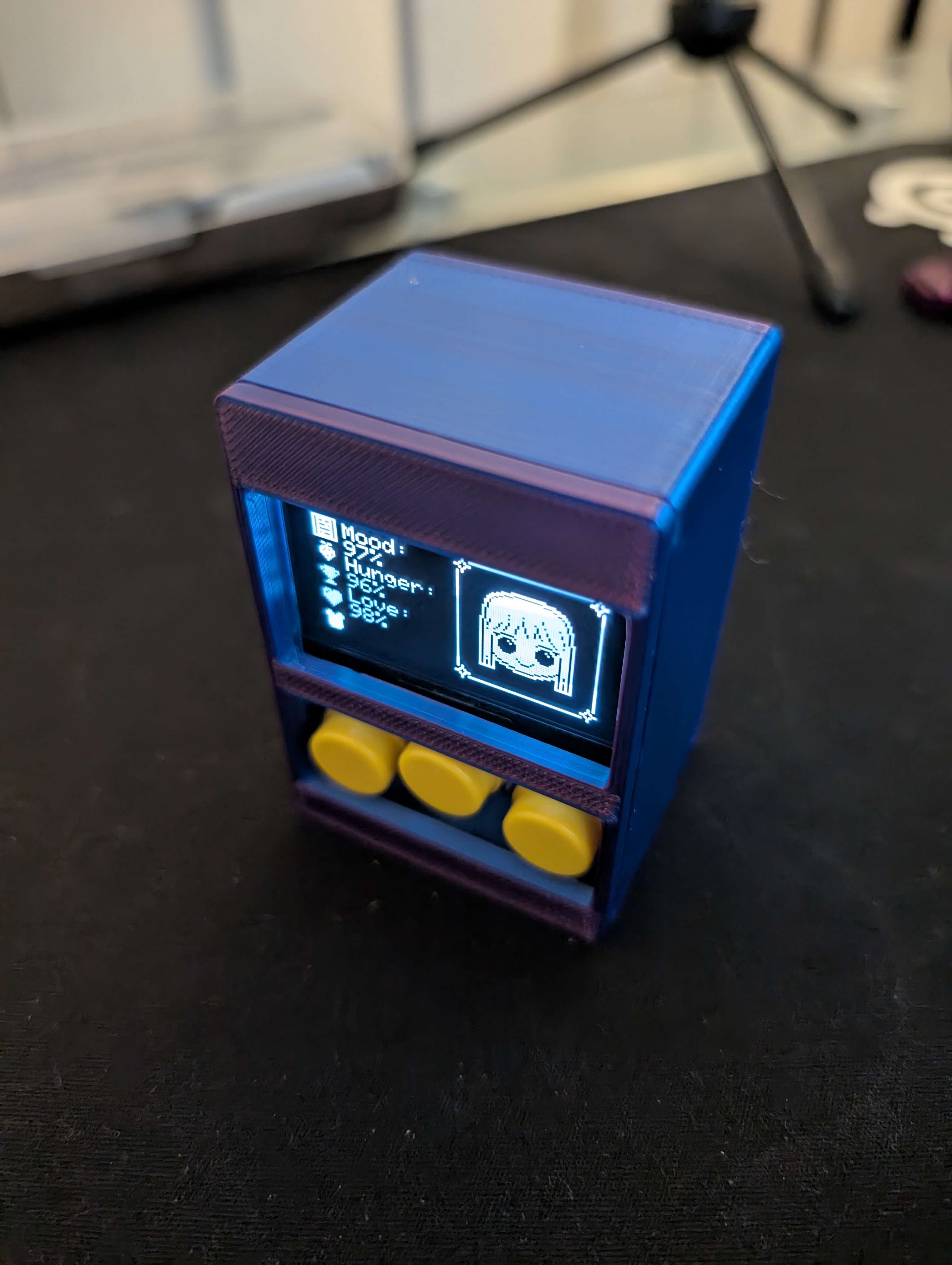 Personalized Tamagotchi